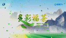 《多彩福茶》4月6日