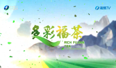 《多彩福茶》4月13日