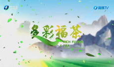 《多彩福茶》4月20日