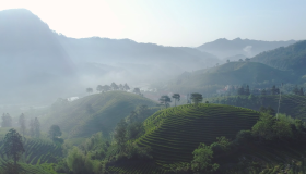 第二批国家碳达峰试点名单公布，福建2地入选