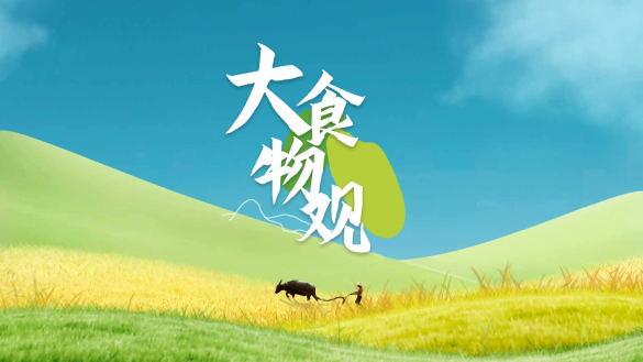 大食物观