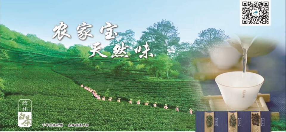 央视“广告精准扶贫”福建项目公益广告《政和白茶》